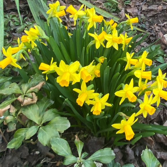 Meet your Posher, KC - Picture 1 of 8